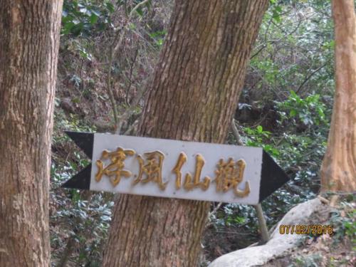 img 0080 (1)